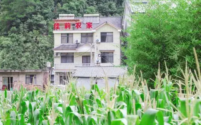 Jiali Farmhouse