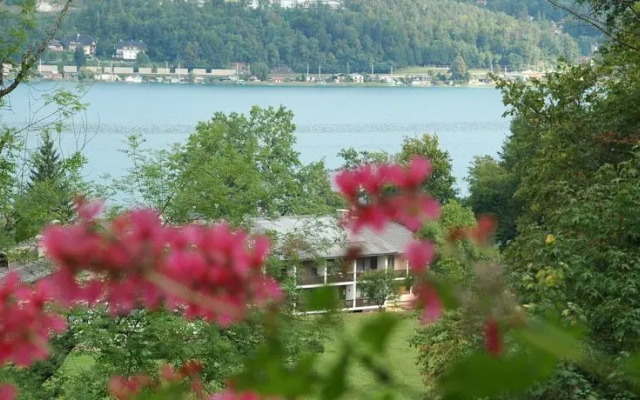 Appartement - Pension Adlerhorst