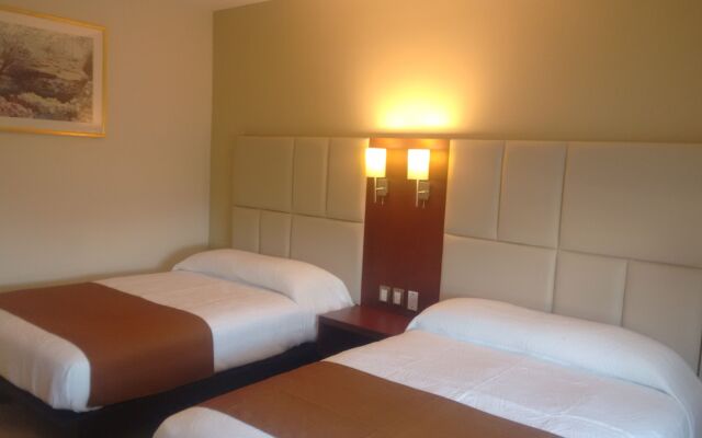 Ave Inn Hotel