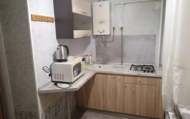 Apartments on Chekhov street 2B