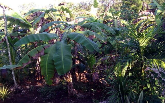 Quintana Roo National Park Campground & Hiking