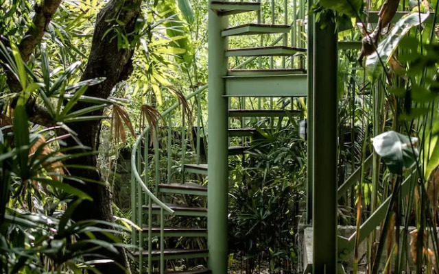 The Canopy