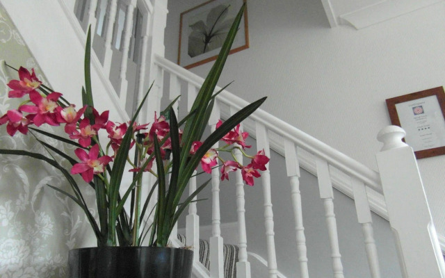 Harriet House B&B