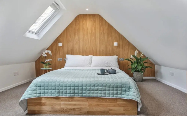 1BR Gem in Great Location