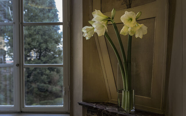 Palazzo Guicciardini