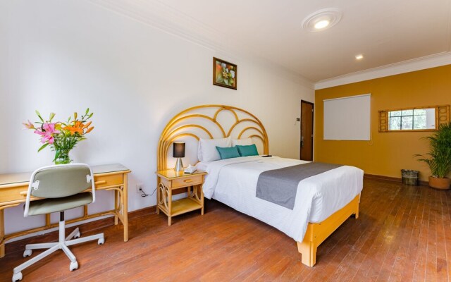 Hotel Anzures House