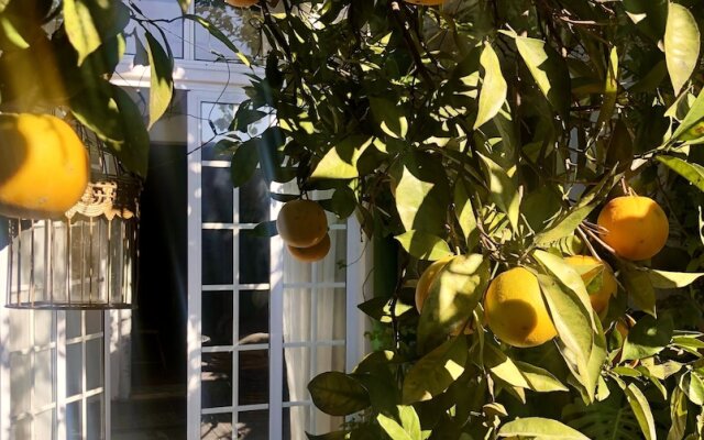 Beautiful Small House in Algarve, Portugal
