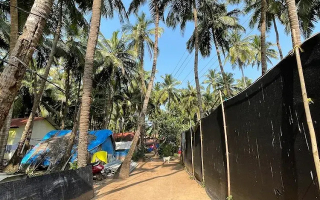 Tropical Bay