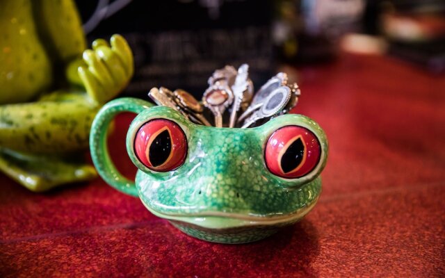 The Pickled Frog - Hostel