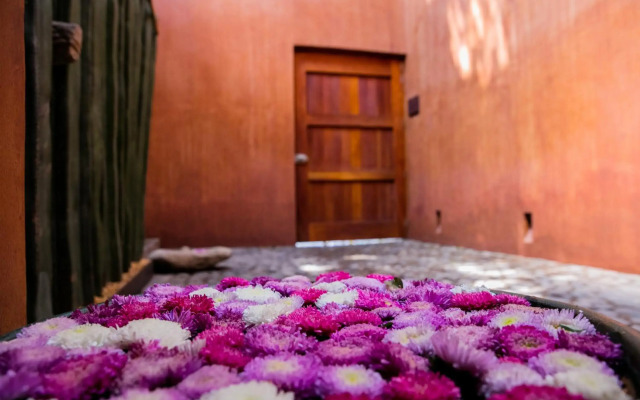 Casa Carmen Reforma
