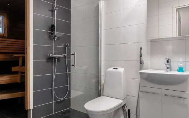 Levin revontulitaivas a