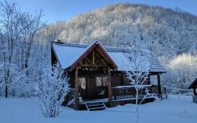 The Little Mountain Cabin