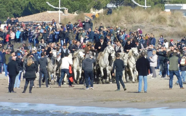 Studio climatisé 1 à 4 personnes vue mer