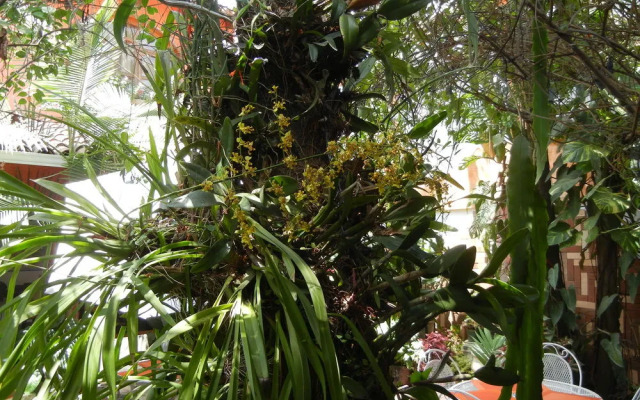 Hotel Boutique Casa Gabriela