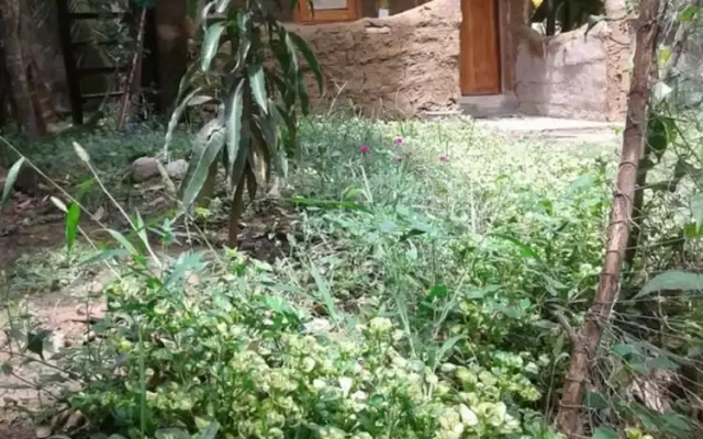 Green Leaf Cabanas