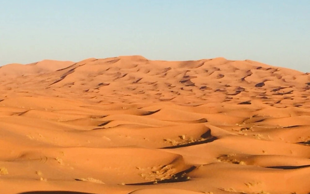 Sahara Sabaku Tour Camp