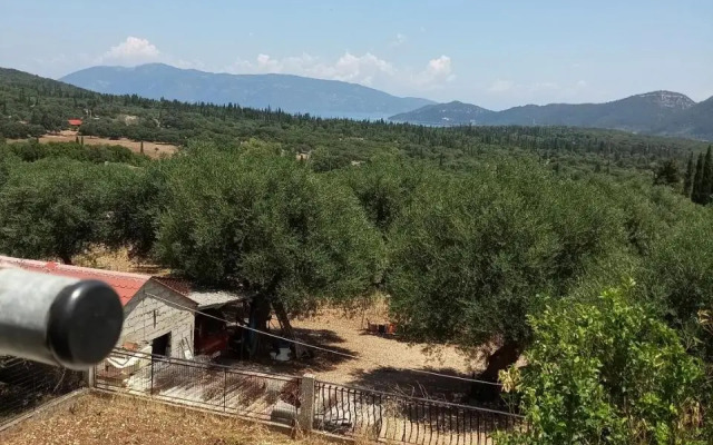 CHRYSPY Toulatos Studios