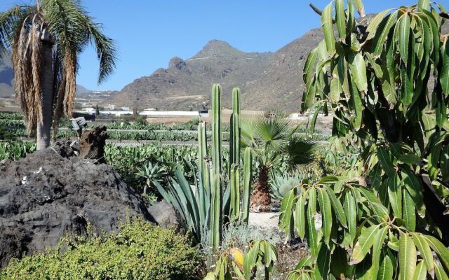 Finca Los Llanitos I