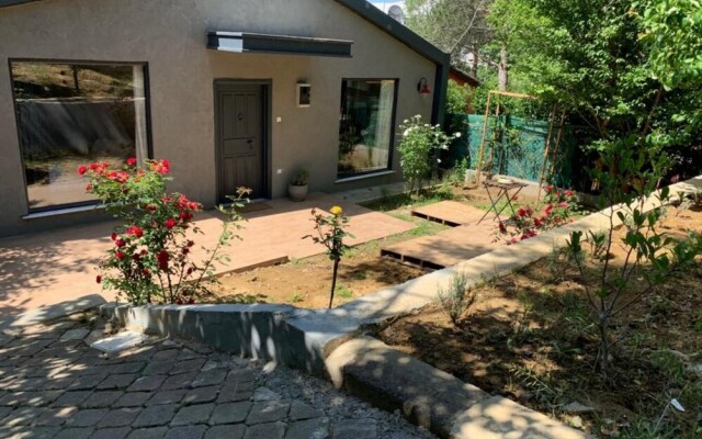 Peaceful Detached House With Garden in Besiktas