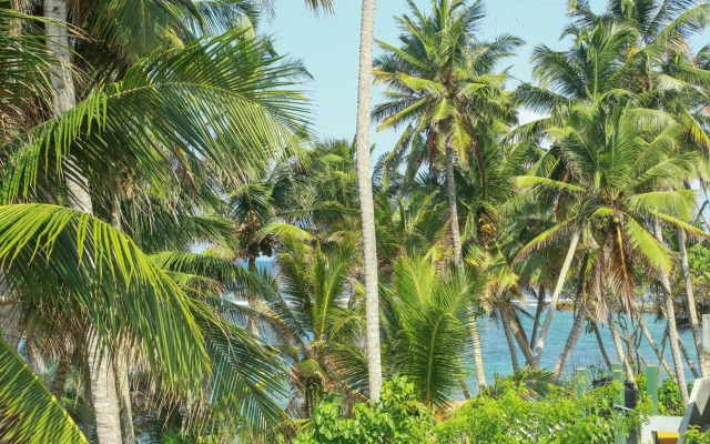 Coconut Hill Homestay