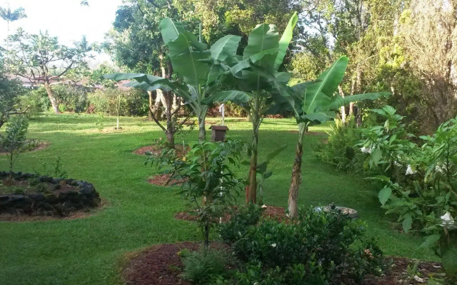 The Kimos' Ohanas B&B