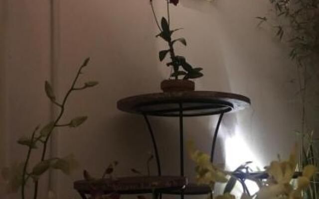 Wood Stone Hostel