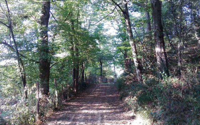 Les Gites de Castera