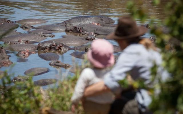 Elewana Serengeti Migration Camp