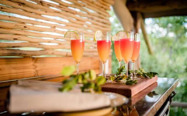 Bundox Explorer Camp