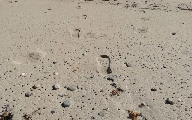 Les Roches Du Cabellou 150 m De La Mer