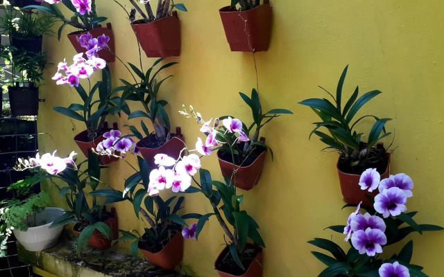 Vivaresidence Homestay