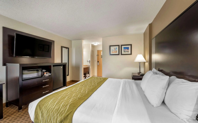Comfort Inn East