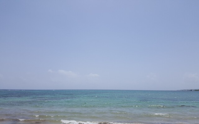 Ocho Rios Villa at Coolshade X