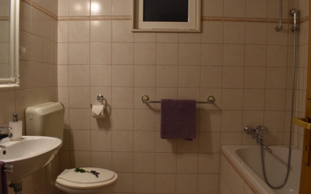 Apartment Frama - 3 apartments: A3 Lavanda  Bol, Island Brac