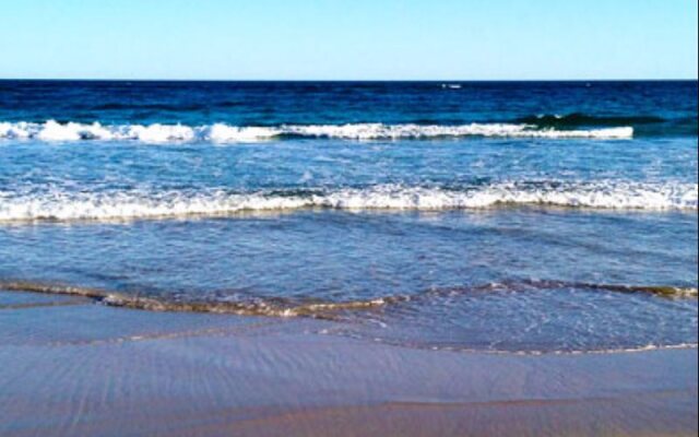 Harmony at Tower Hill Apartment