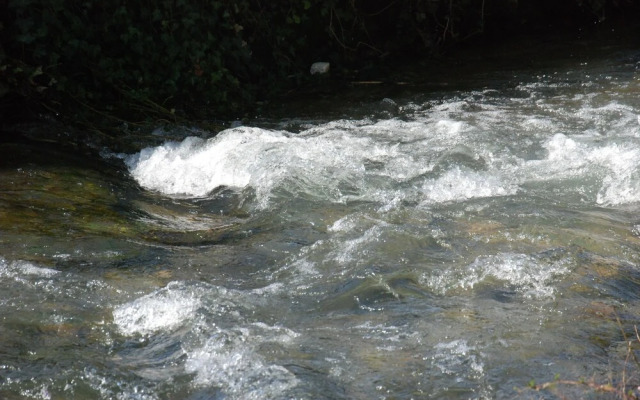 Le Clos de l'Oiselon