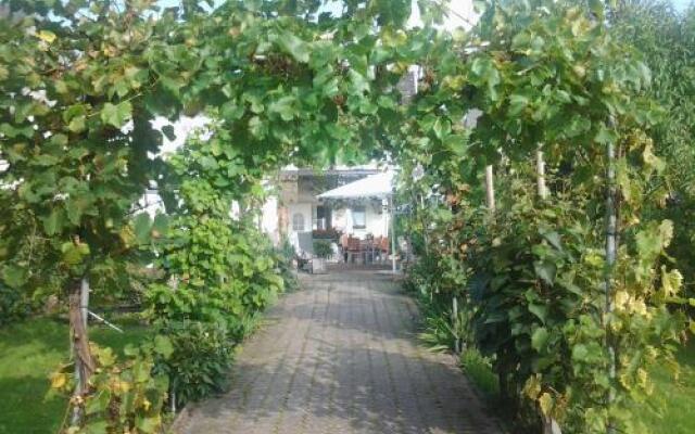 Ferienweingut Arnold Thiesen