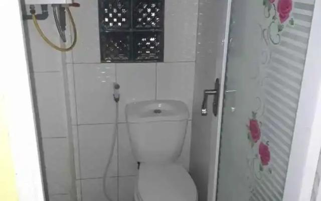 Afton Homestay Sikunir