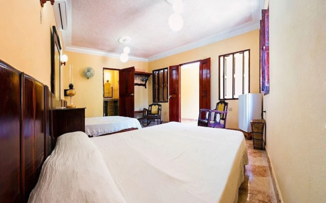 Jardin Benjamin TRINIDAD