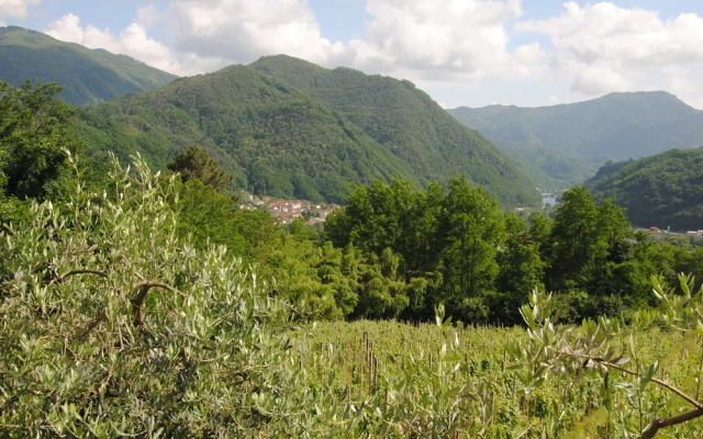 Tenuta La Fratta Apartments