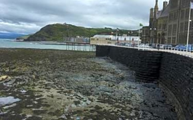 Bryncoed