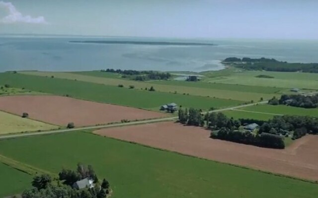 Tremere's Oceanview Cottages