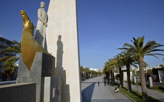 Sant Jordi Zeus Basic