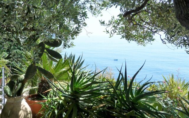 House Limone