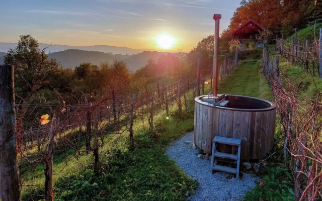 Vineyard Cottage Pavlin 3