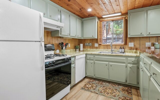 Big Bear Moose House