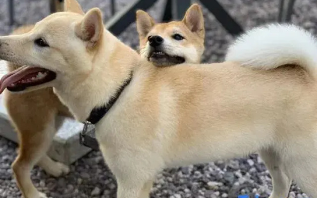 Xianhe Mountain Guesthouse