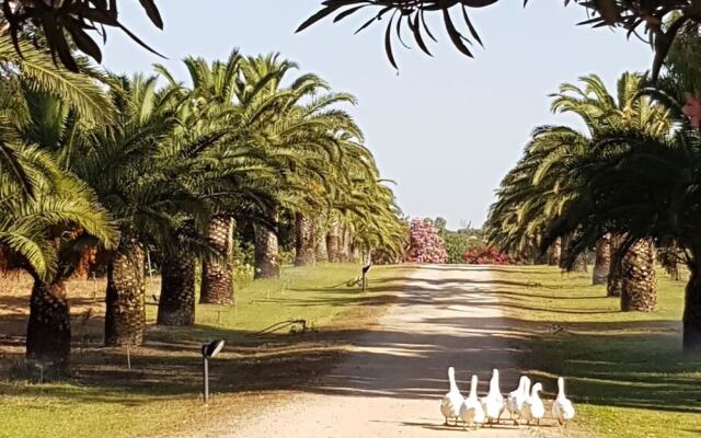 Santa Igia B&B Country House