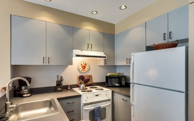Muscatel Flats 4 1 Bedroom Condo By Accommodations in Telluride