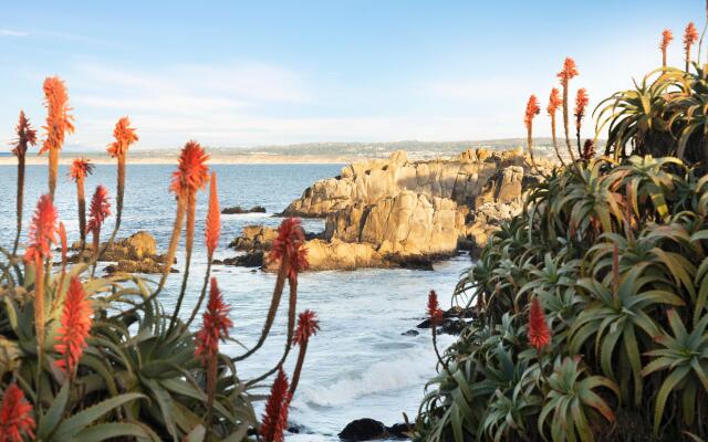 InterContinental the Clement Monterey by IHG